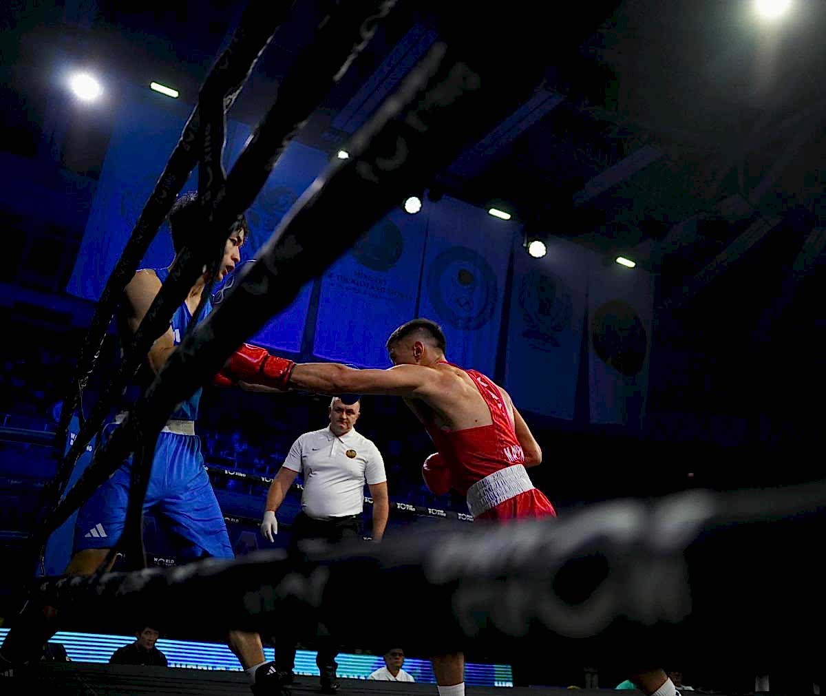 Boxing World Cup: Day Three of the Competition